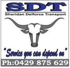 Logo for SDT